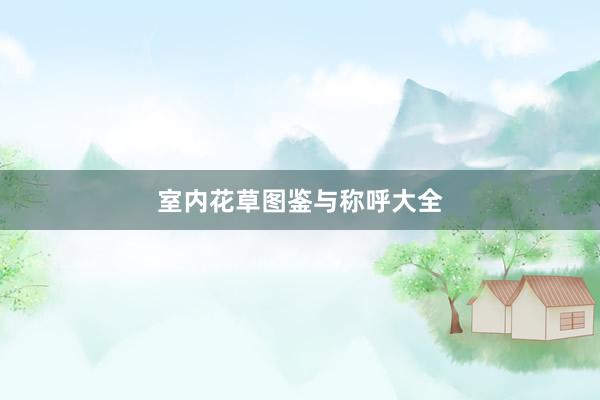 室内花草图鉴与称呼大全
