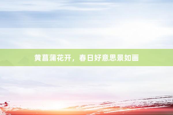 黄菖蒲花开，春日好意思景如画